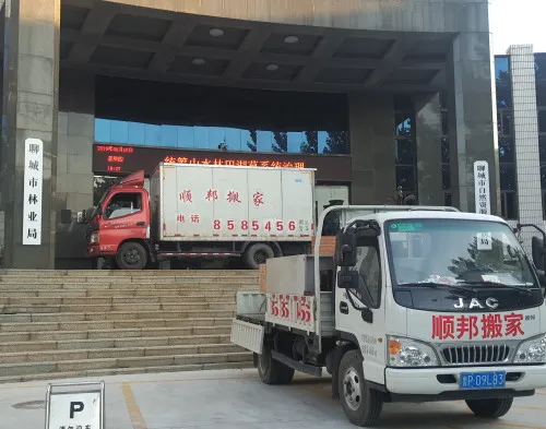 聊城正规搬家公司.webp