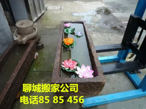 东阿附近搬家公司.webp 东阿附近搬家公司.webp