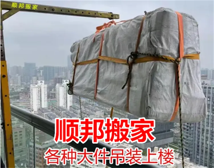 莘县搬家公司沙发吊装.webp