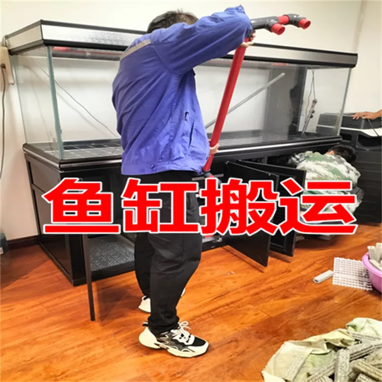 专业鱼缸搬运.webp