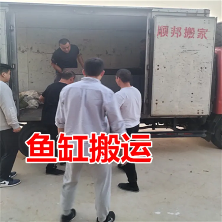 茌平鱼缸搬运.webp