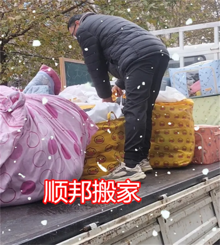在东昌丽都下雪天搬家.webp