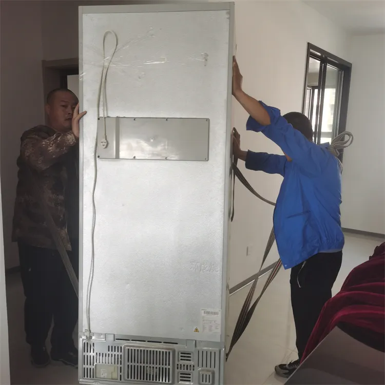 聊城专业双门冰箱搬运.webp