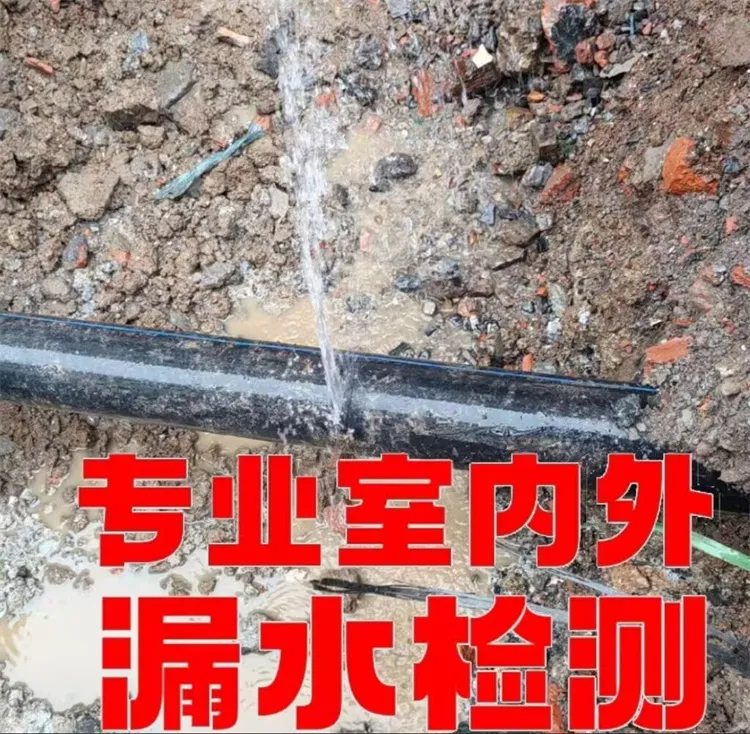 漏水检�?(2).webp