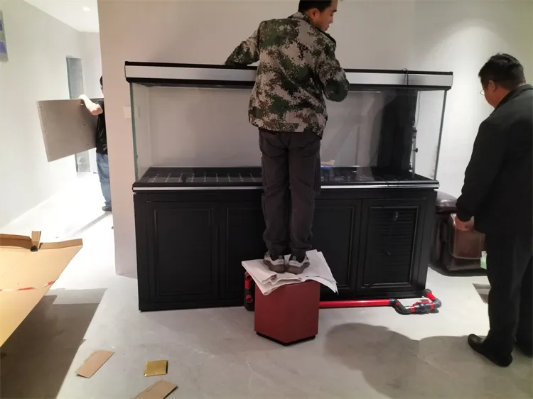 鱼缸搬运 (3).webp