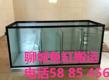 聊城鱼缸搬运价格合理